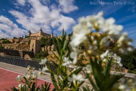 2014 08 13 El Alcázar, visto desde el Paseo de la Rosa