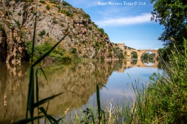 2018 05 27 Puente de San Martín, visto desde la Senda ecológica del Tajo