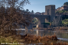 2014 02 19 Puente de San Martín