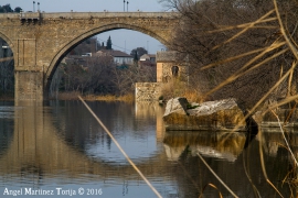 2016 01 26 Puente de San Martín