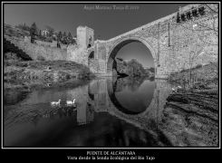 2020 04 03 - 0010 Puente de Alcantara